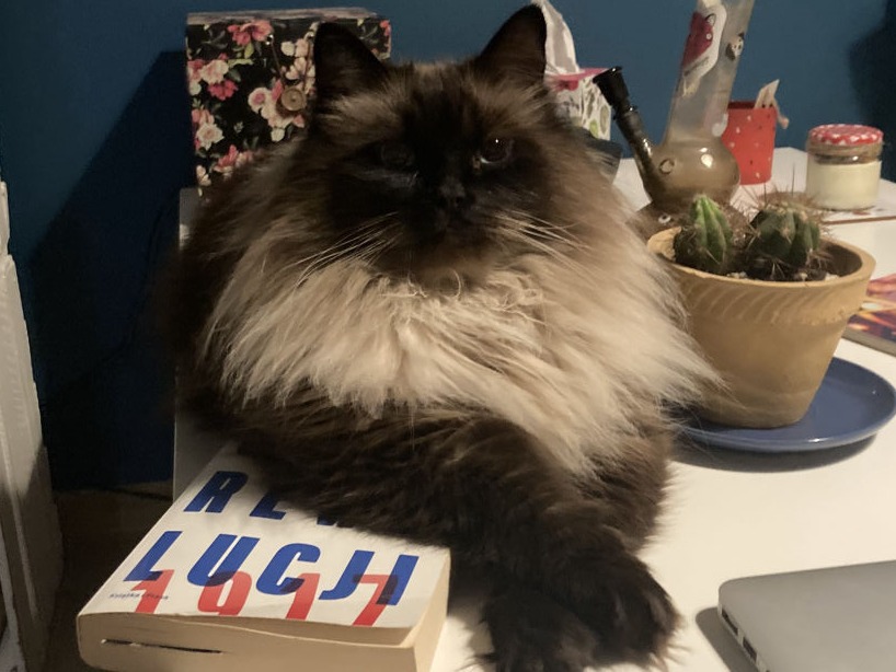 Ja po przeczytaniu książki